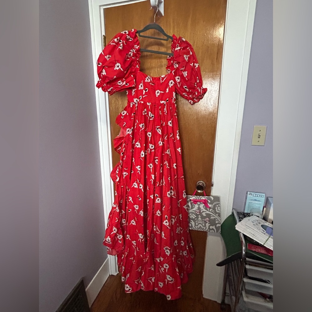 Sweet Caroline Ruffle Gown - Picture 3 of 5